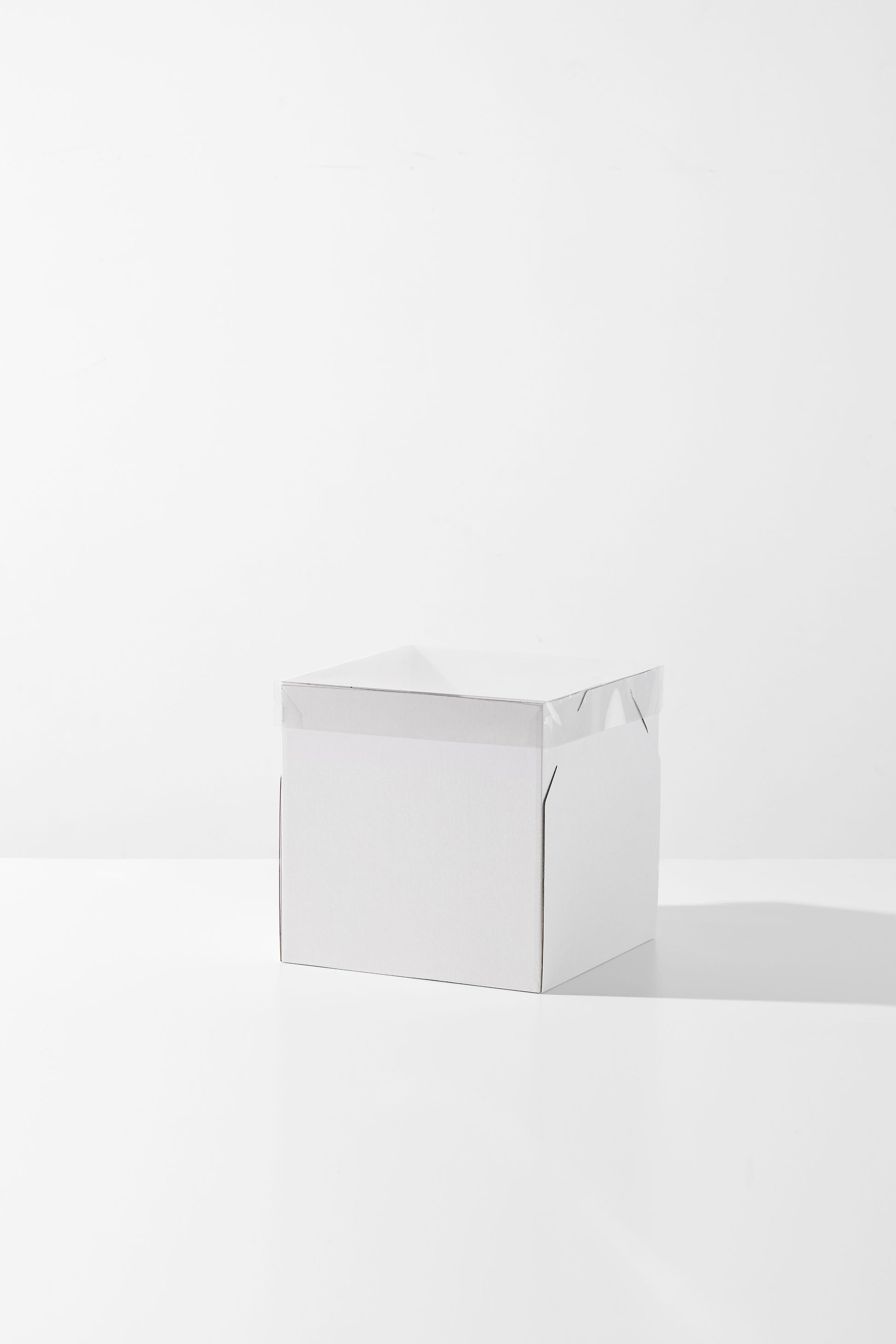 Cake Box Dasbi with clear lid