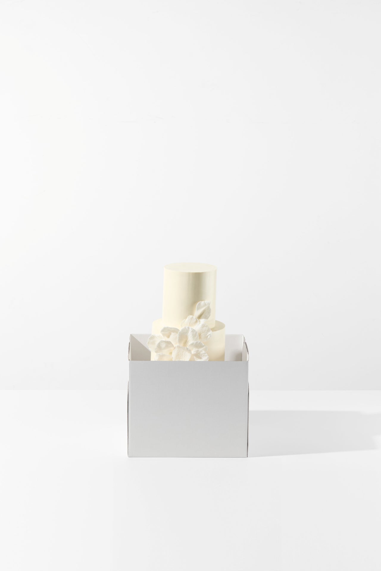 White cake in a decorative box on a white background