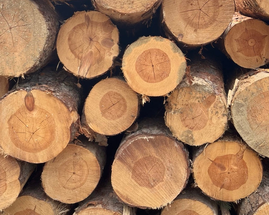A stacked pile of cut tree logs showing natural wood grain and growth rings, photographed outdoors with trees and sky in the background.