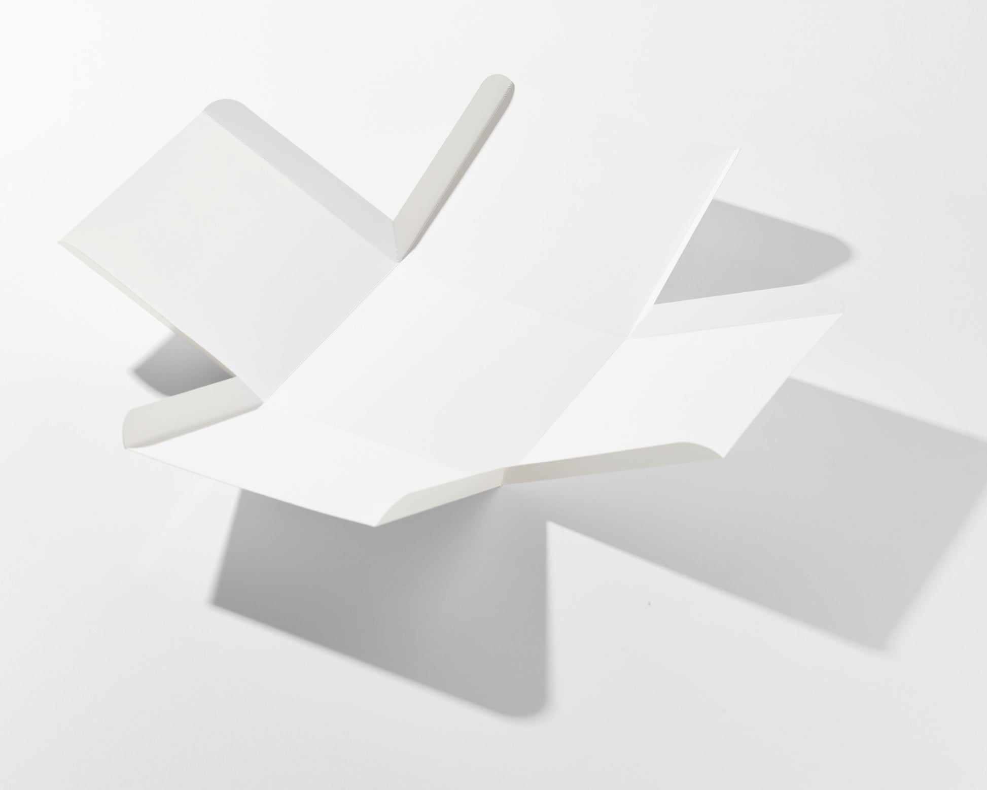 Dasbi bloom box flower opnening