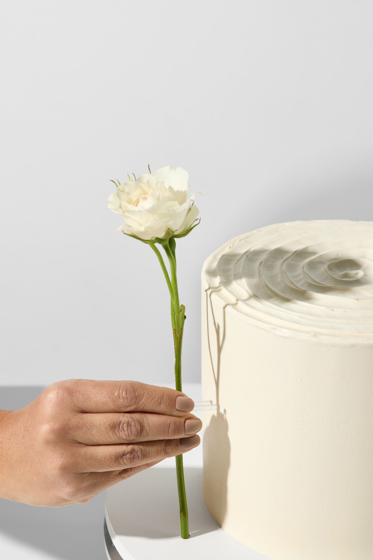 Anbringen des transparenten Clips um die Blumenstiele